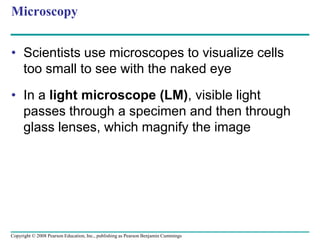 Microscopy
• Scientists use microscopes to visualize cells
too small to see with the naked eye
• In a light microscope (LM), visible light
passes through a specimen and then through
glass lenses, which magnify the image
Copyright © 2008 Pearson Education, Inc., publishing as Pearson Benjamin Cummings
 