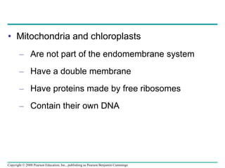 • Mitochondria and chloroplasts
– Are not part of the endomembrane system
– Have a double membrane
– Have proteins made by free ribosomes
– Contain their own DNA
Copyright © 2008 Pearson Education, Inc., publishing as Pearson Benjamin Cummings
 