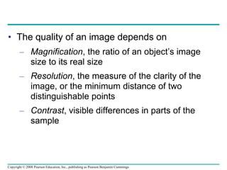 • The quality of an image depends on
– Magnification, the ratio of an object’s image
size to its real size
– Resolution, the measure of the clarity of the
image, or the minimum distance of two
distinguishable points
– Contrast, visible differences in parts of the
sample
Copyright © 2008 Pearson Education, Inc., publishing as Pearson Benjamin Cummings
 