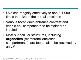 • LMs can magnify effectively to about 1,000
times the size of the actual specimen
• Various techniques enhance contrast and
enable cell components to be stained or
labeled
• Most subcellular structures, including
organelles (membrane-enclosed
compartments), are too small to be resolved by
an LM
Copyright © 2008 Pearson Education, Inc., publishing as Pearson Benjamin Cummings
 