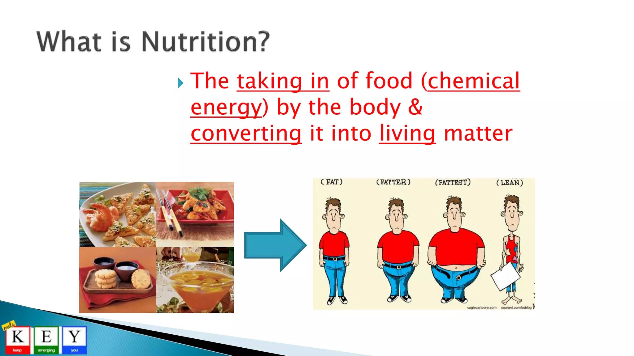  The taking in of food (chemical
energy) by the body &
converting it into living matter
 