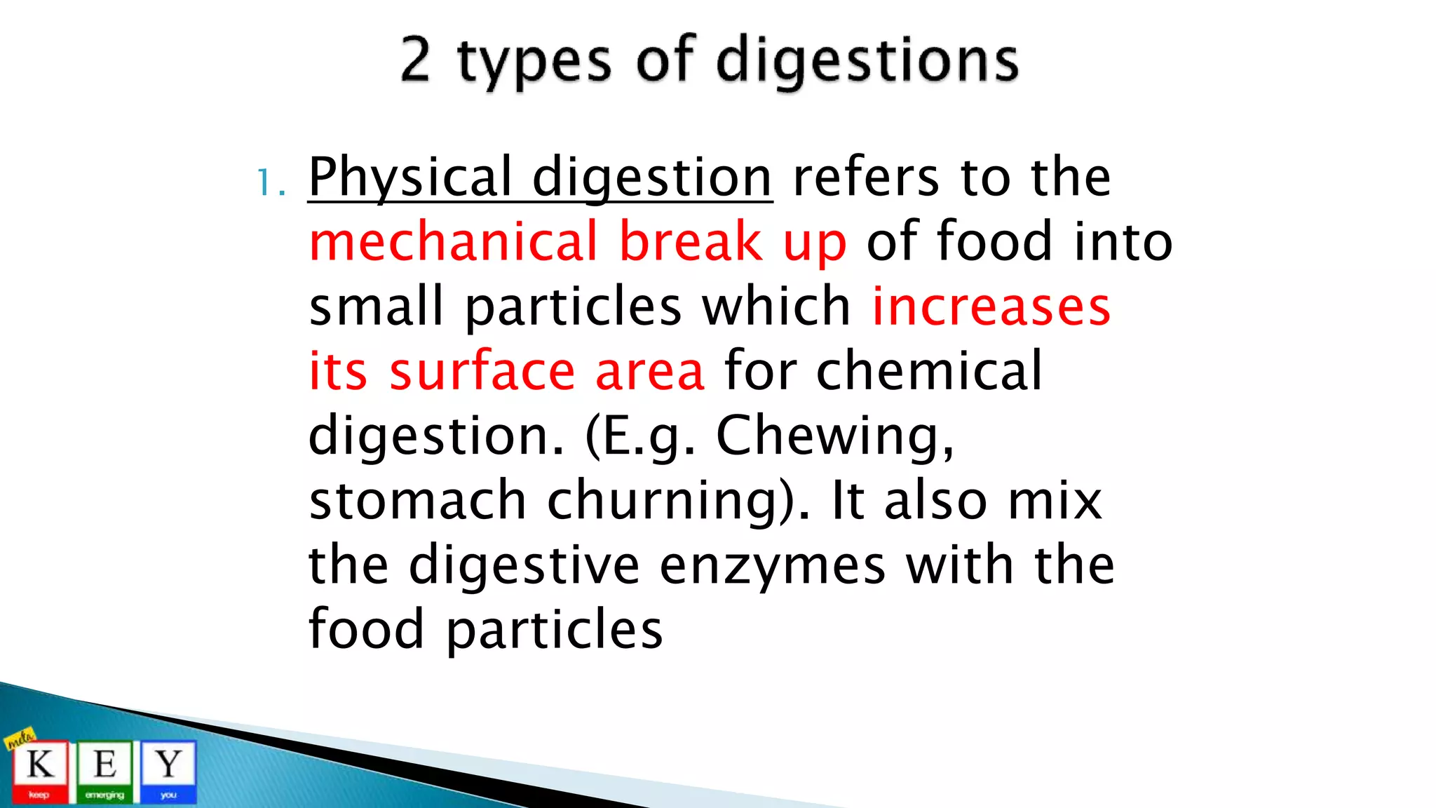 1. Physical digestion refers to the
mechanical break up of food into
small particles which increases
its surface area for chemical
digestion. (E.g. Chewing,
stomach churning). It also mix
the digestive enzymes with the
food particles
 