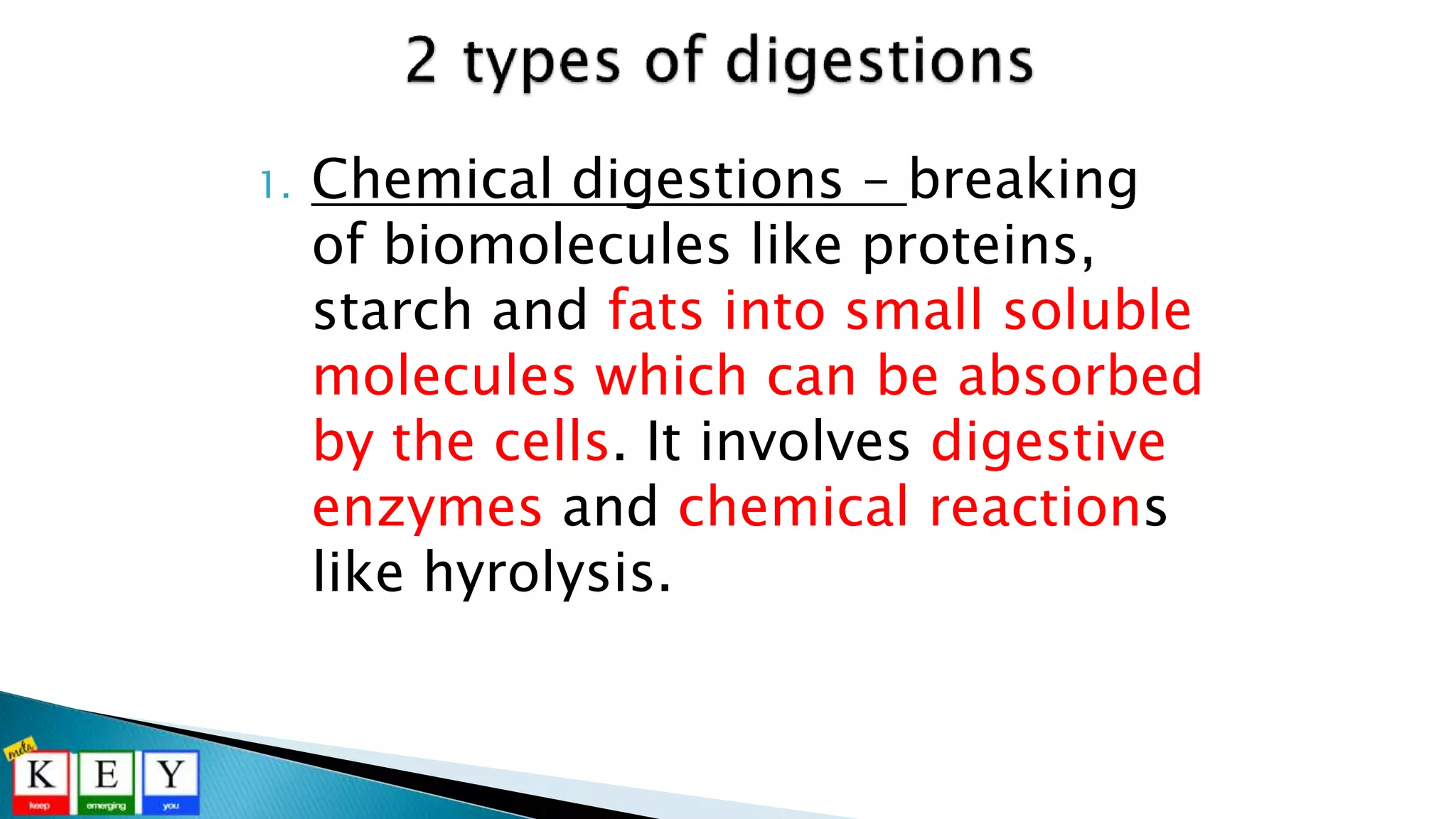 1. Chemical digestions – breaking
of biomolecules like proteins,
starch and fats into small soluble
molecules which can be absorbed
by the cells. It involves digestive
enzymes and chemical reactions
like hyrolysis.
 