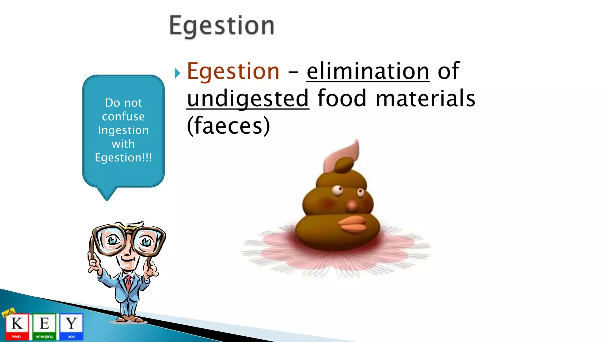  Egestion – elimination of
undigested food materials
(faeces)
Do not
confuse
Ingestion
with
Egestion!!!
 