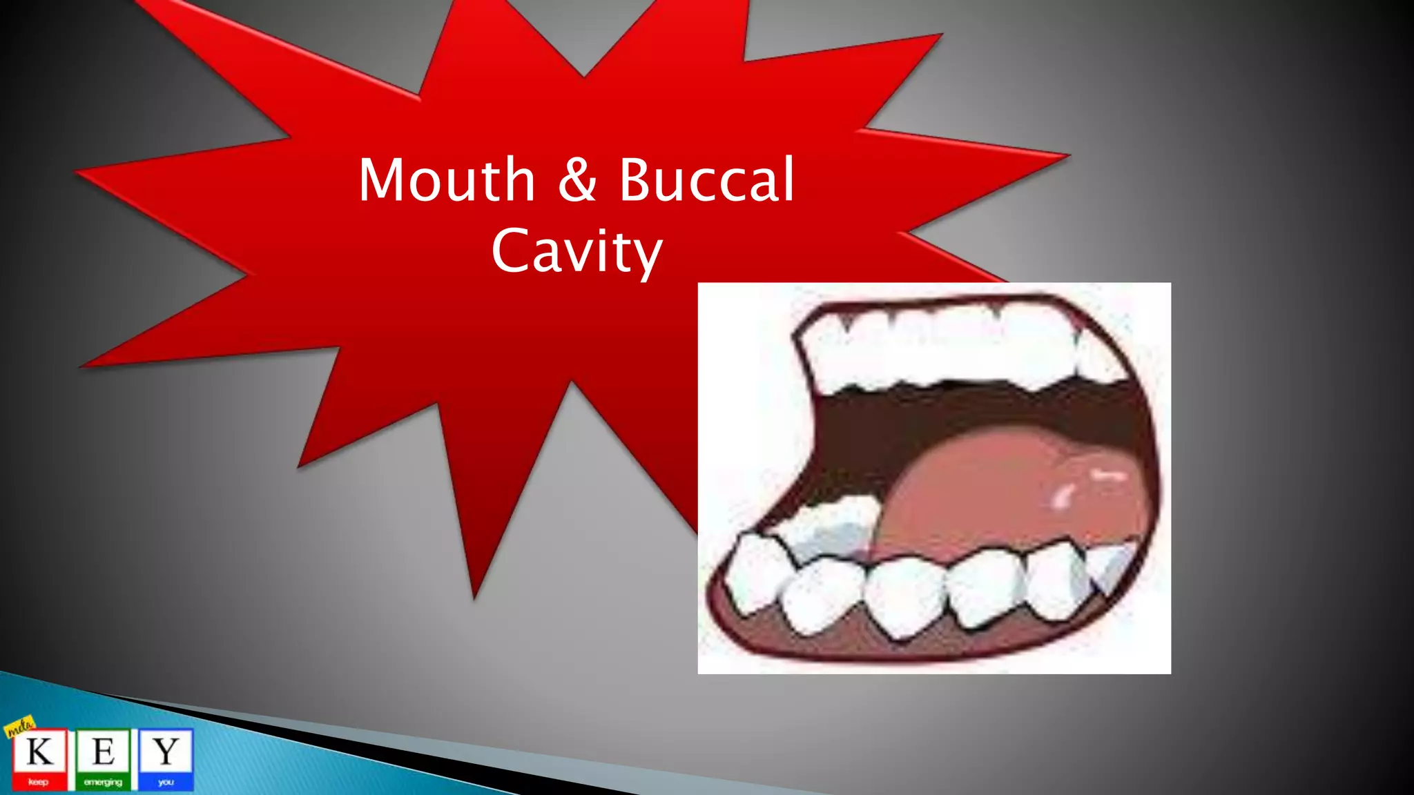 Mouth & Buccal
Cavity
 
