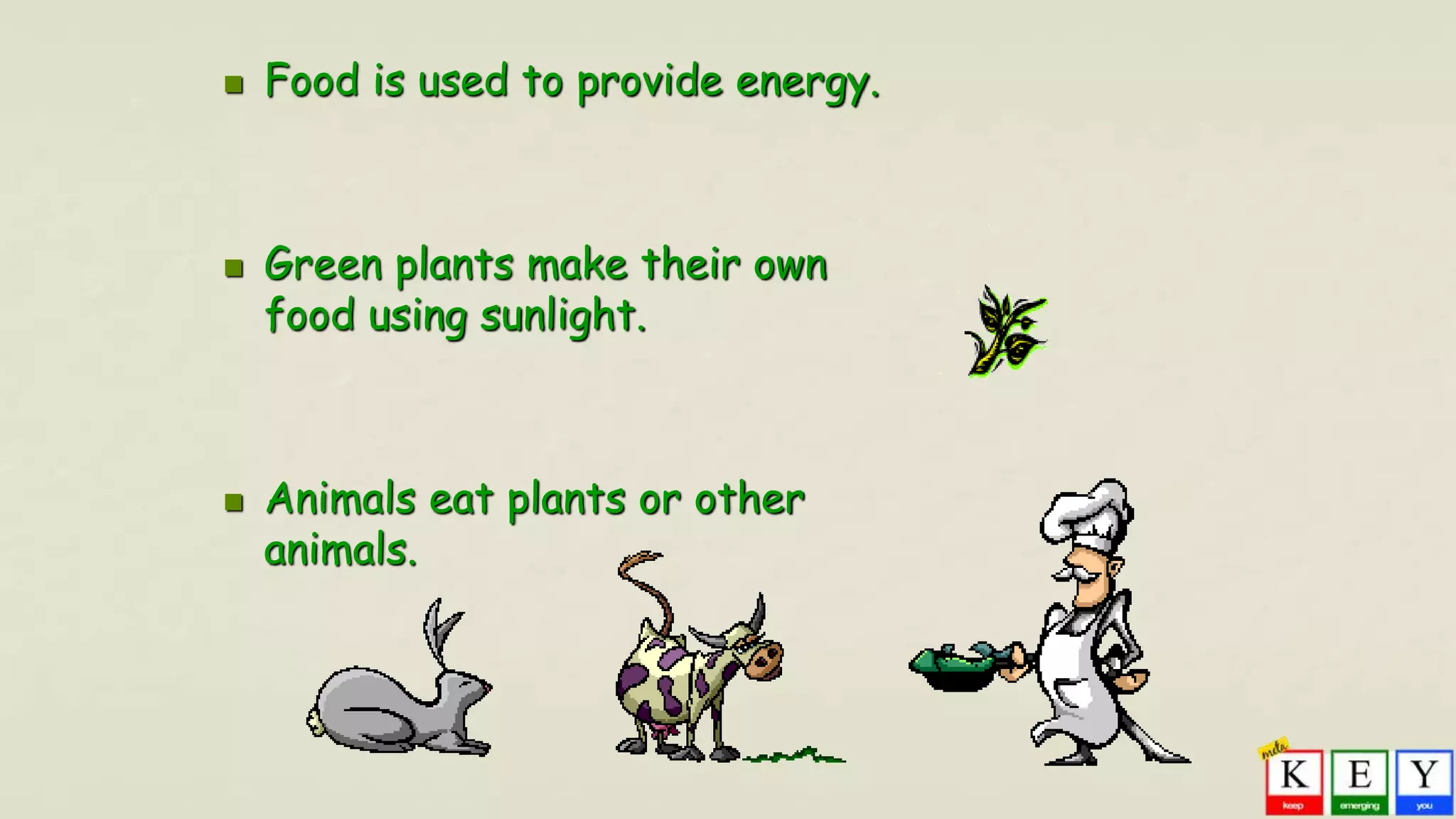  Food is used to provide energy.
 Green plants make their own
food using sunlight.
 Animals eat plants or other
animals.
 