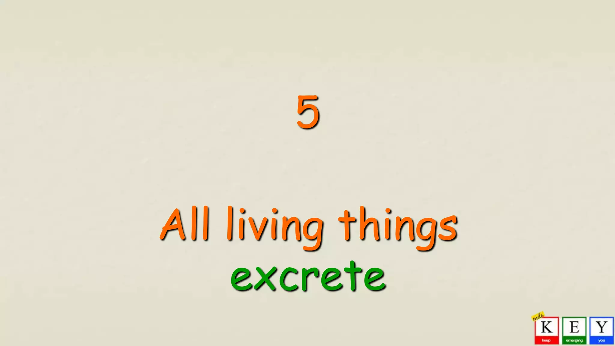 5
All living things
excrete
 