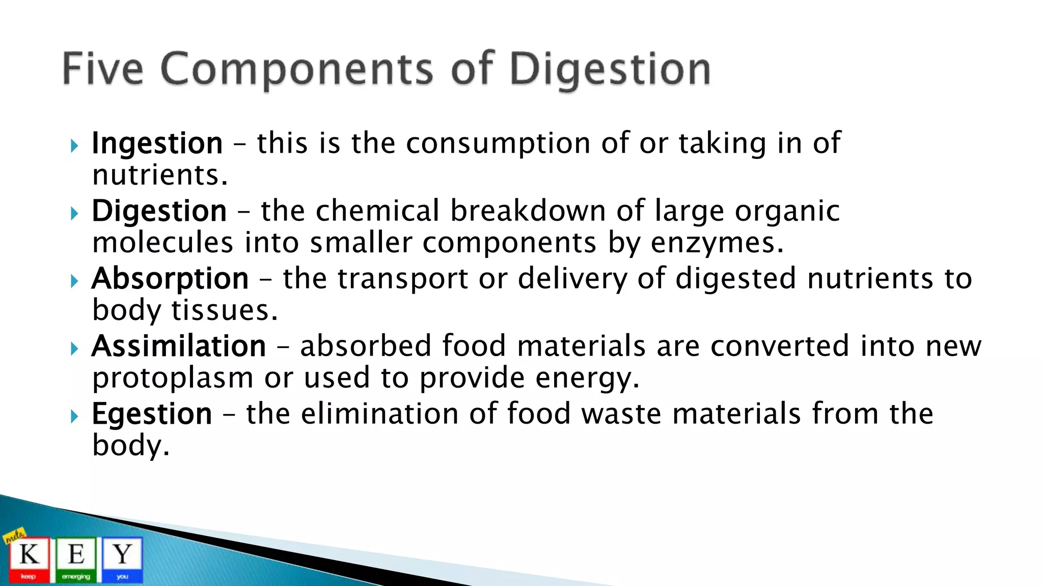  Ingestion – this is the consumption of or taking in of
nutrients.
 Digestion – the chemical breakdown of large organic
molecules into smaller components by enzymes.
 Absorption – the transport or delivery of digested nutrients to
body tissues.
 Assimilation – absorbed food materials are converted into new
protoplasm or used to provide energy.
 Egestion – the elimination of food waste materials from the
body.
 
