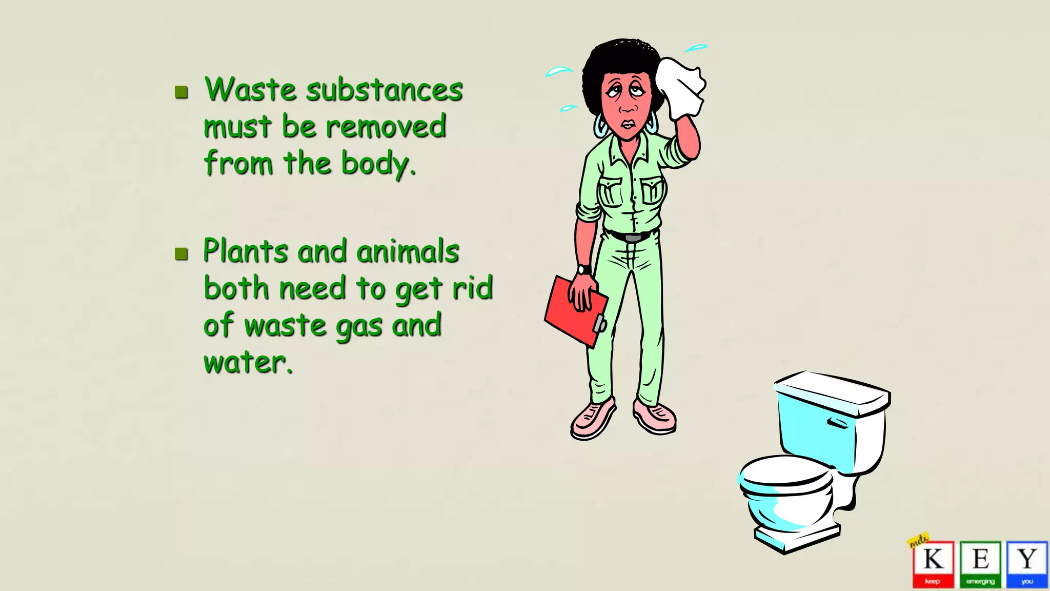  Waste substances
must be removed
from the body.
 Plants and animals
both need to get rid
of waste gas and
water.
 