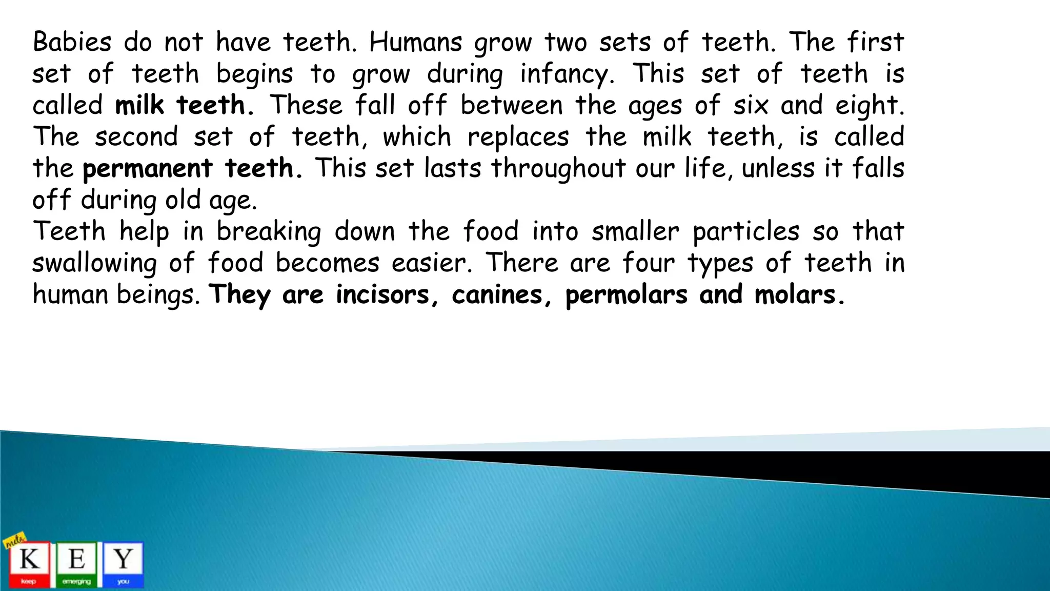 Babies do not have teeth. Humans grow two sets of teeth. The first
set of teeth begins to grow during infancy. This set of teeth is
called milk teeth. These fall off between the ages of six and eight.
The second set of teeth, which replaces the milk teeth, is called
the permanent teeth. This set lasts throughout our life, unless it falls
off during old age.
Teeth help in breaking down the food into smaller particles so that
swallowing of food becomes easier. There are four types of teeth in
human beings. They are incisors, canines, permolars and molars.
 