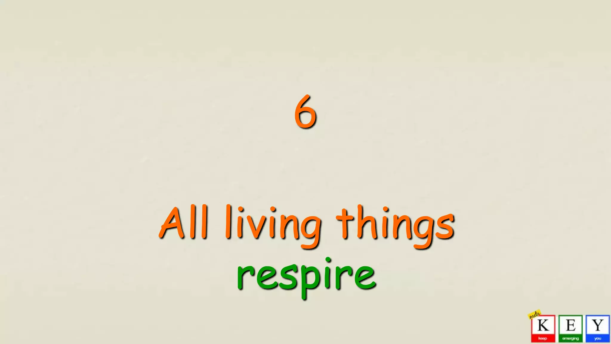 6
All living things
respire
 