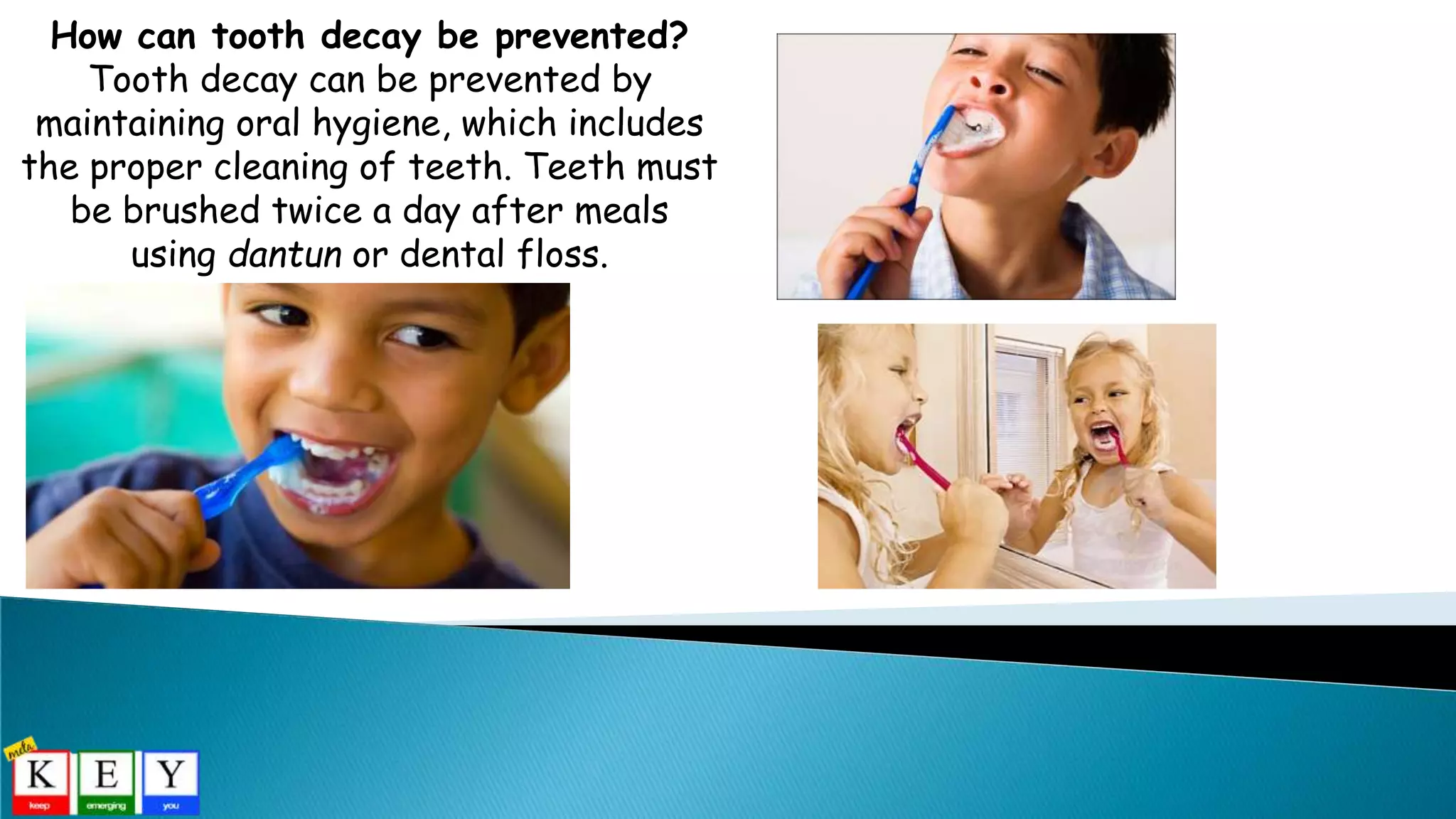 How can tooth decay be prevented?
Tooth decay can be prevented by
maintaining oral hygiene, which includes
the proper cleaning of teeth. Teeth must
be brushed twice a day after meals
using dantun or dental floss.
 