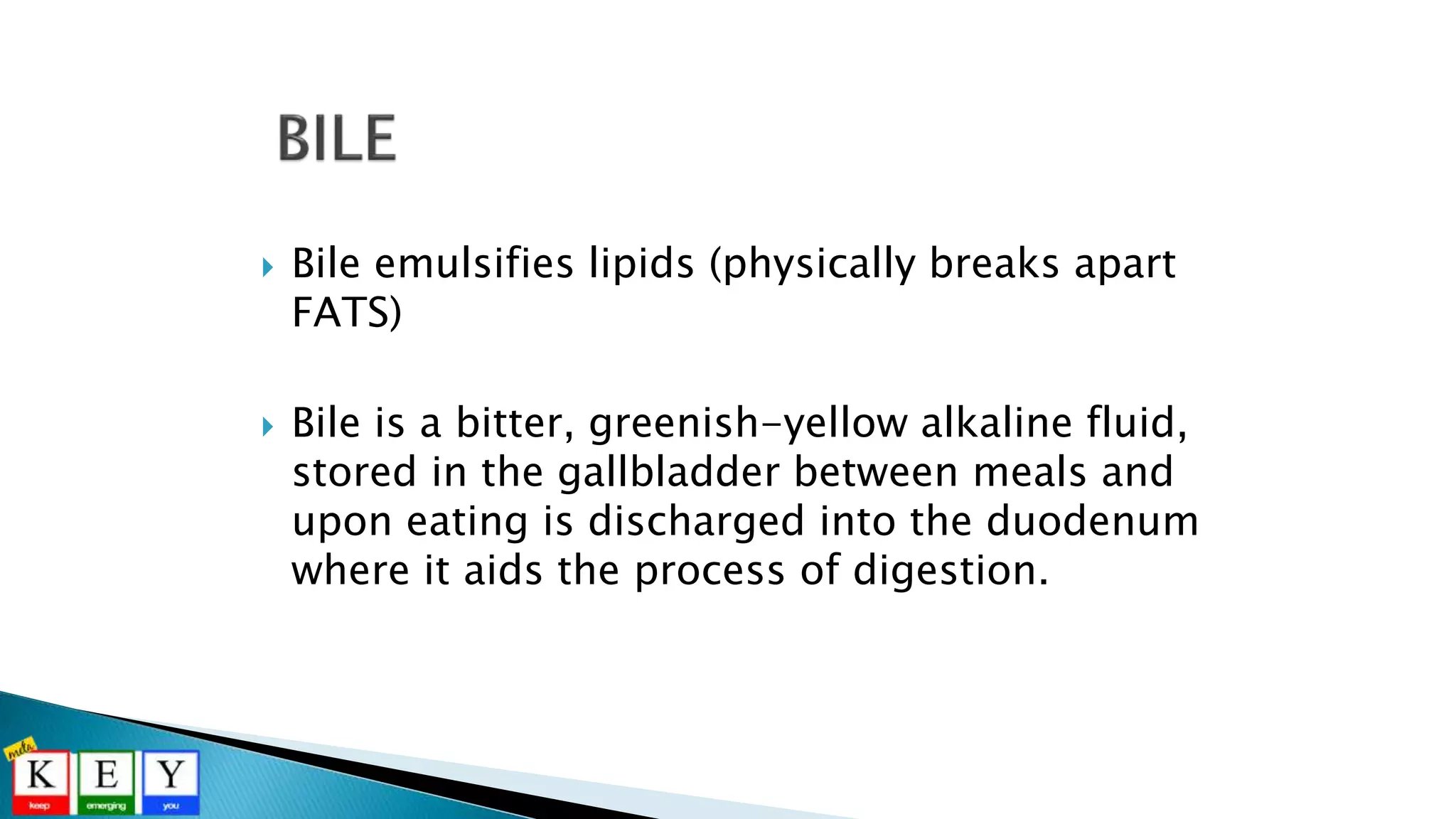  Bile emulsifies lipids (physically breaks apart
FATS)
 Bile is a bitter, greenish-yellow alkaline fluid,
stored in the gallbladder between meals and
upon eating is discharged into the duodenum
where it aids the process of digestion.
 