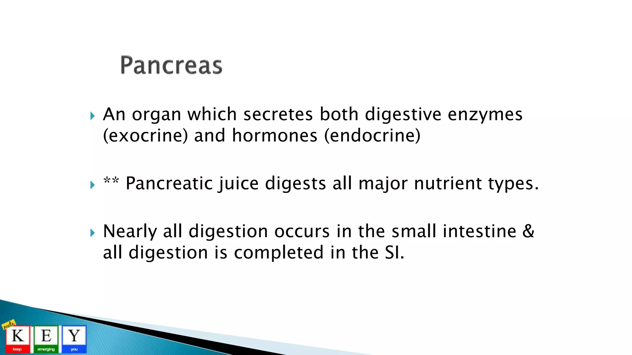  An organ which secretes both digestive enzymes
(exocrine) and hormones (endocrine)
 ** Pancreatic juice digests all major nutrient types.
 Nearly all digestion occurs in the small intestine &
all digestion is completed in the SI.
 