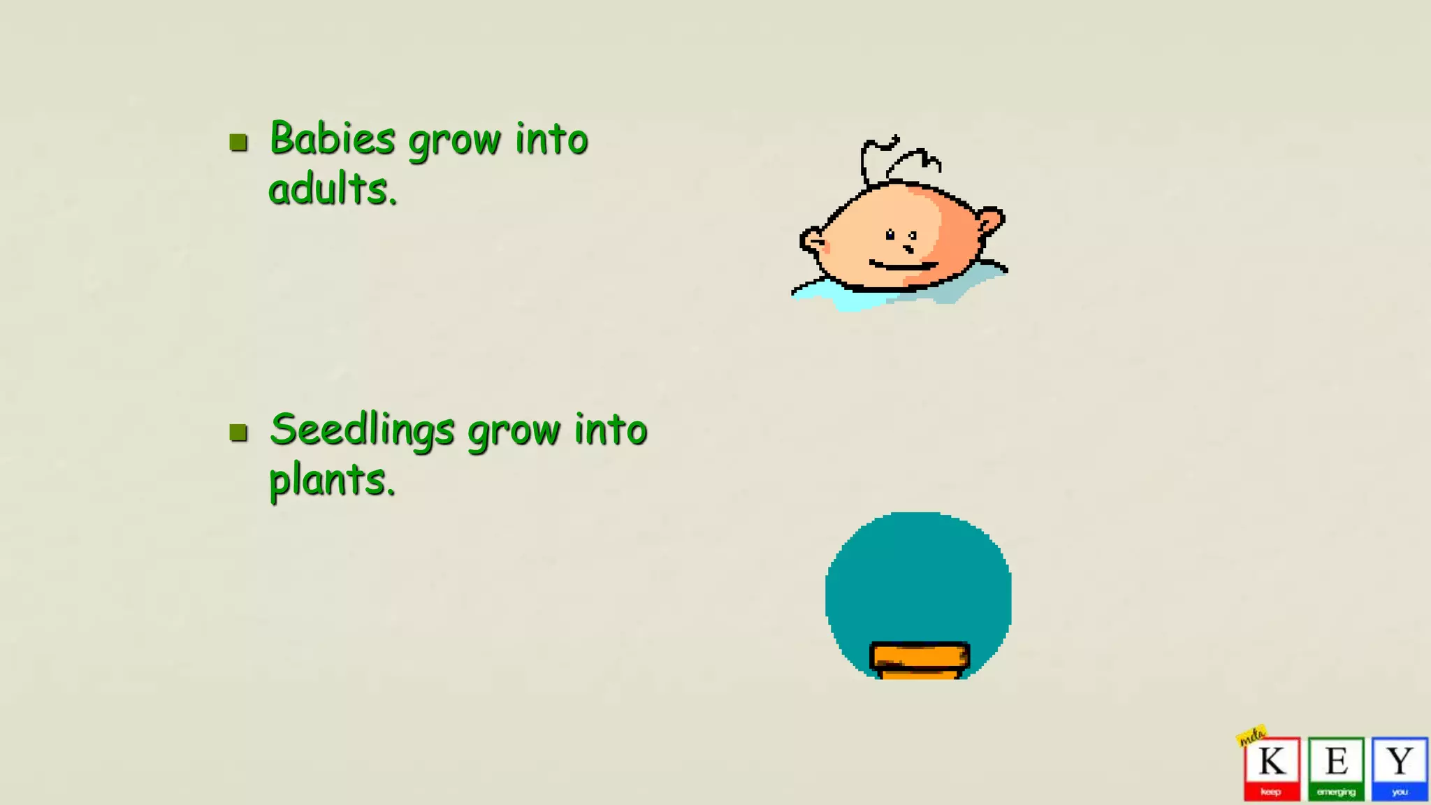  Babies grow into
adults.
 Seedlings grow into
plants.
 