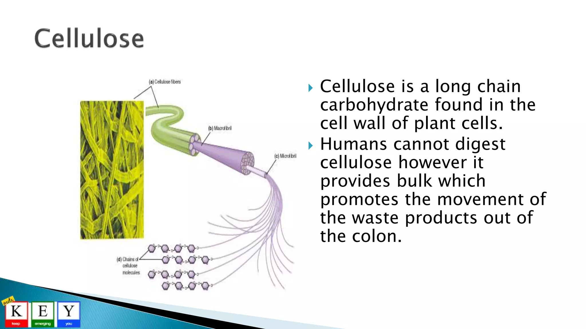 Cellulose is a long chain
carbohydrate found in the
cell wall of plant cells.
 Humans cannot digest
cellulose however it
provides bulk which
promotes the movement of
the waste products out of
the colon.
 
