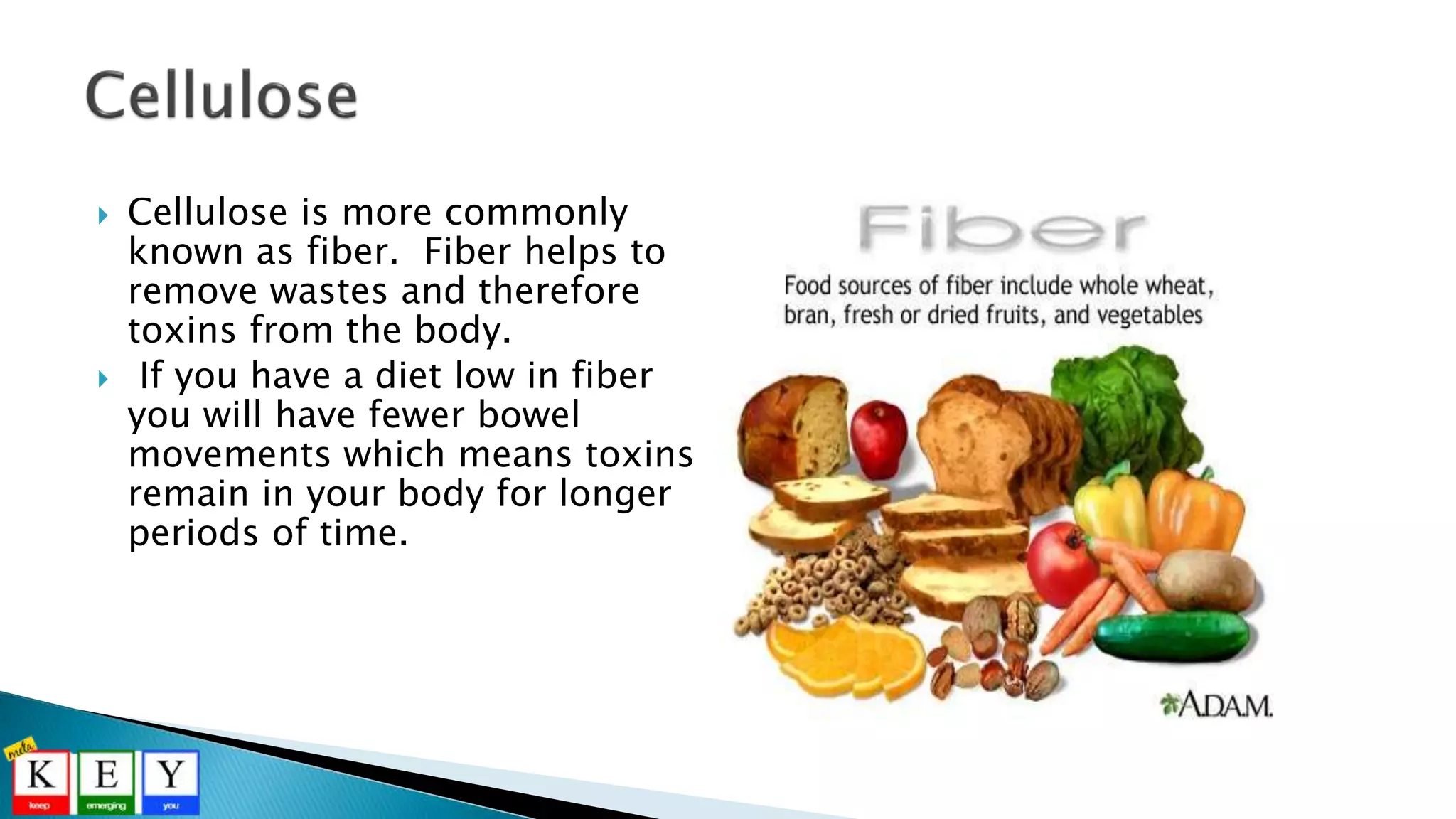  Cellulose is more commonly
known as fiber. Fiber helps to
remove wastes and therefore
toxins from the body.
 If you have a diet low in fiber
you will have fewer bowel
movements which means toxins
remain in your body for longer
periods of time.
 