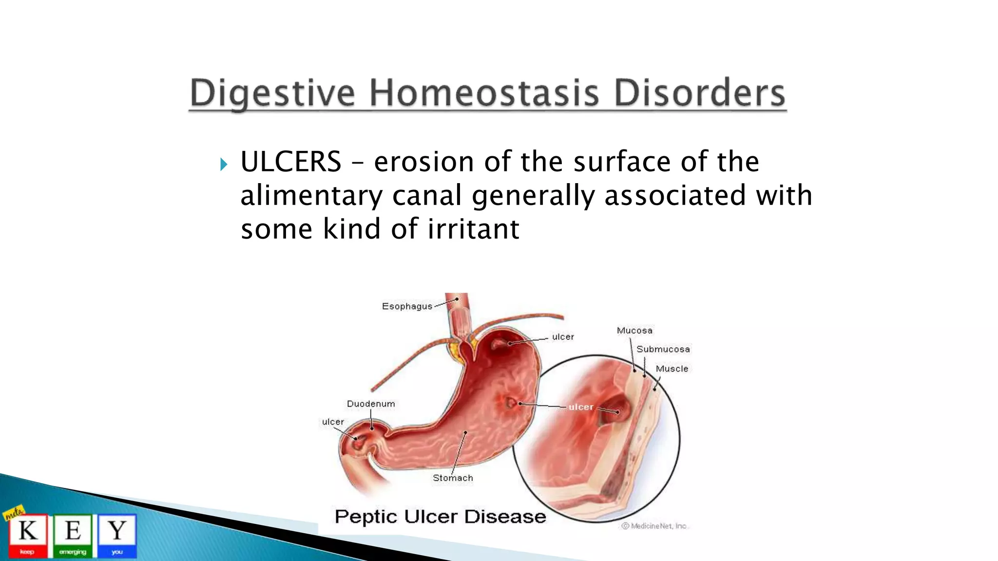  ULCERS – erosion of the surface of the
alimentary canal generally associated with
some kind of irritant
 