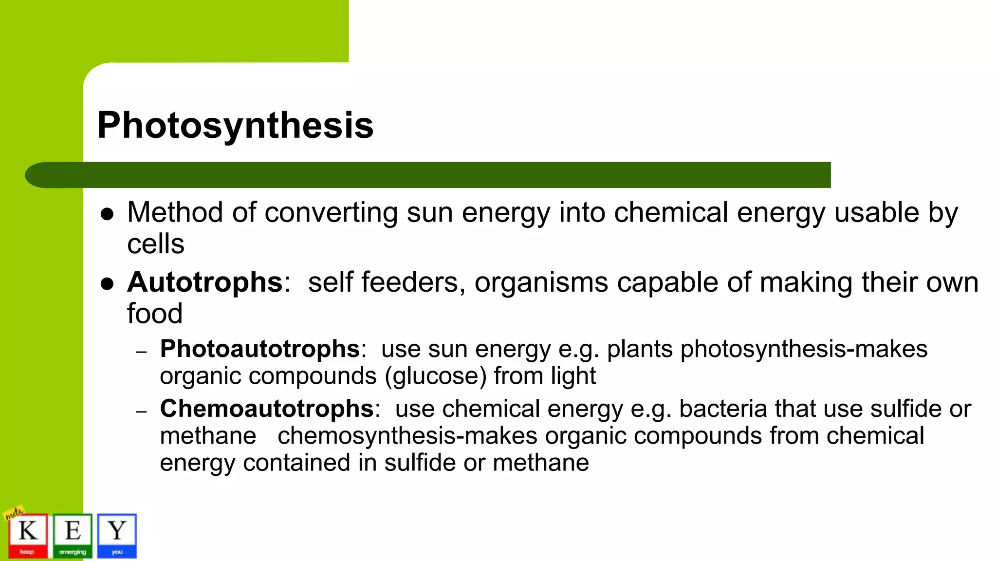 Photosynthesis
 Method of converting sun energy into chemical energy usable by
cells
 Autotrophs: self feeders, organisms capable of making their own
food
– Photoautotrophs: use sun energy e.g. plants photosynthesis-makes
organic compounds (glucose) from light
– Chemoautotrophs: use chemical energy e.g. bacteria that use sulfide or
methane chemosynthesis-makes organic compounds from chemical
energy contained in sulfide or methane
 