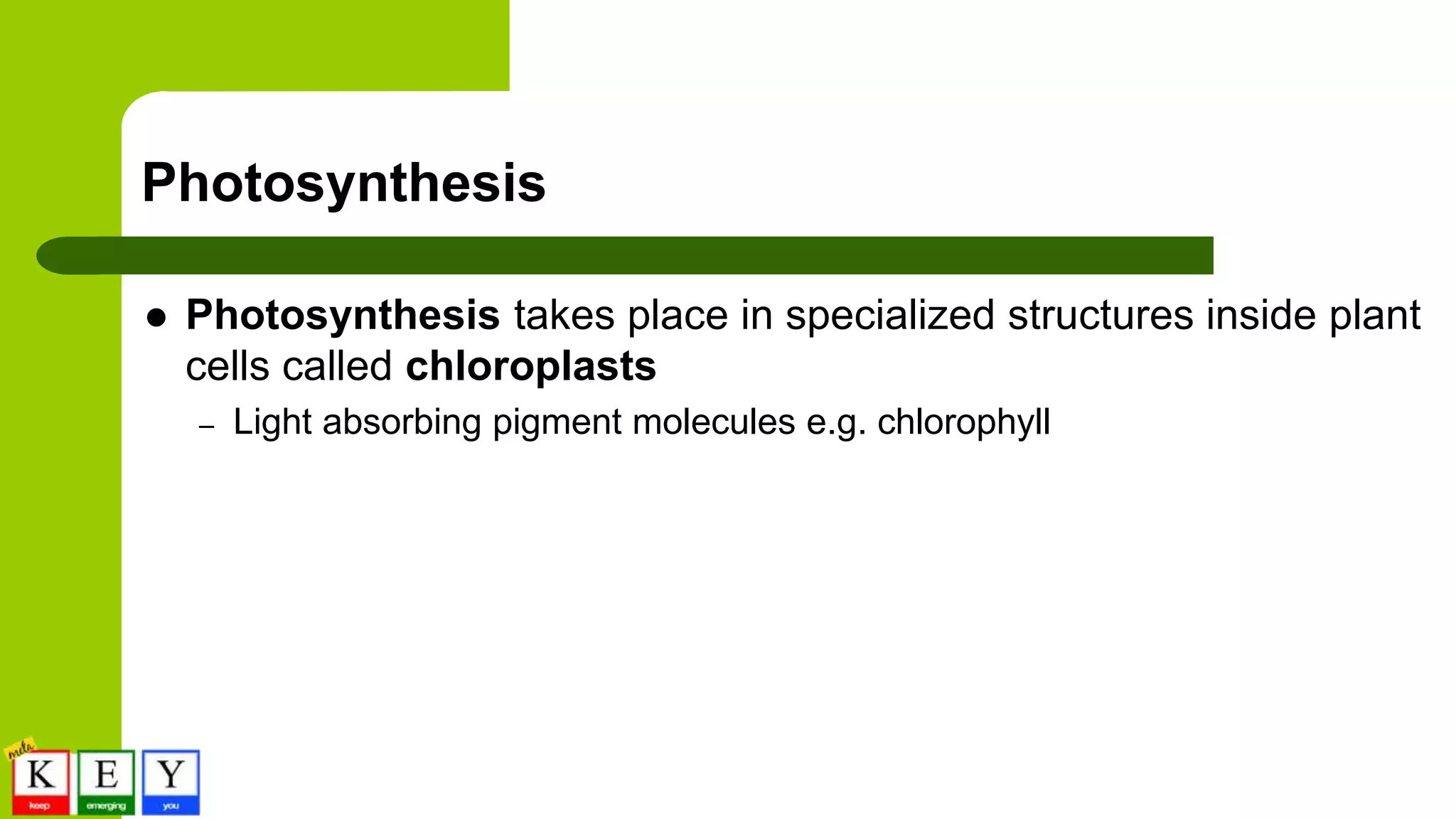 Photosynthesis
 Photosynthesis takes place in specialized structures inside plant
cells called chloroplasts
– Light absorbing pigment molecules e.g. chlorophyll
 