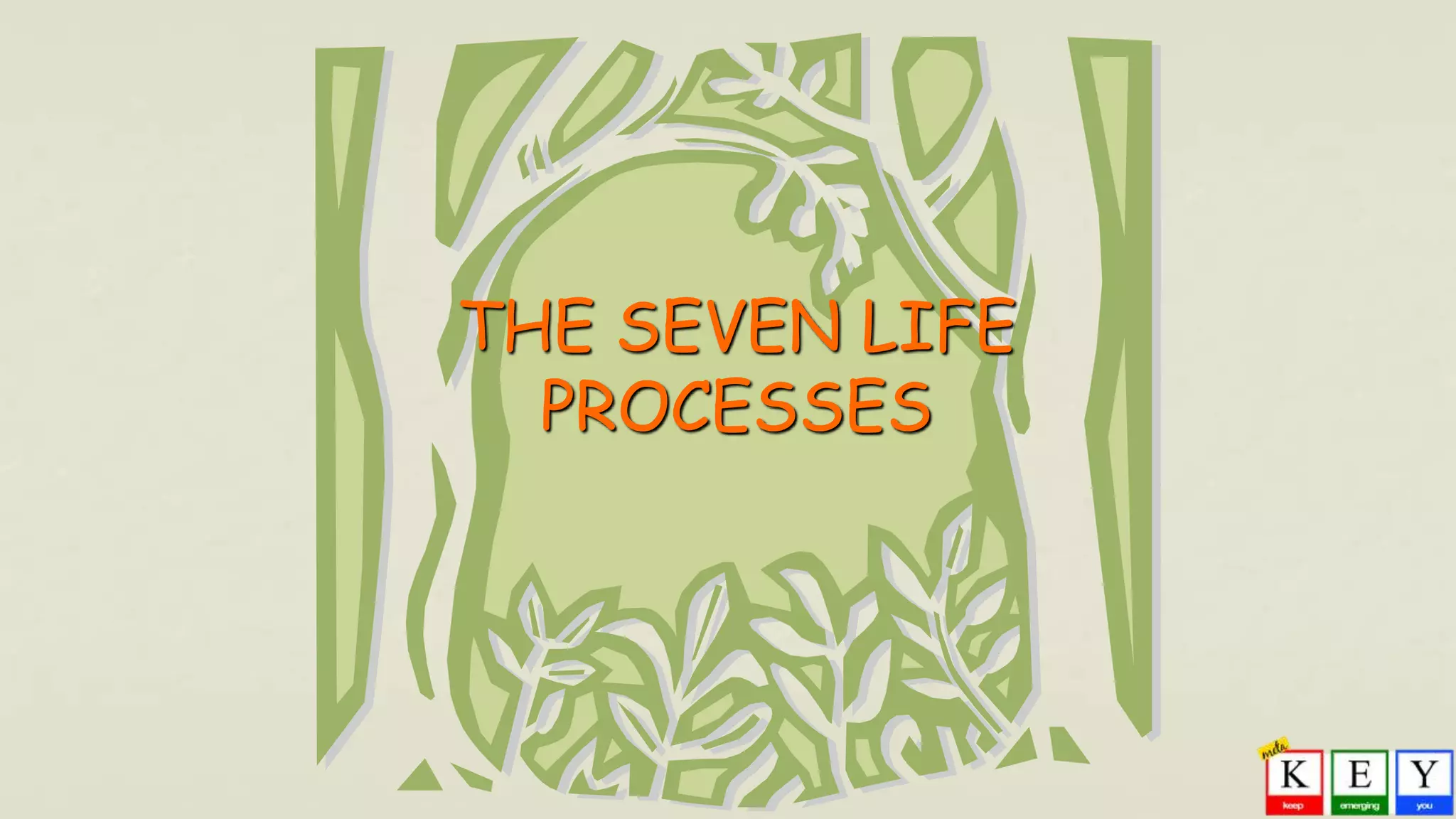 THE SEVEN LIFE
PROCESSES
 
