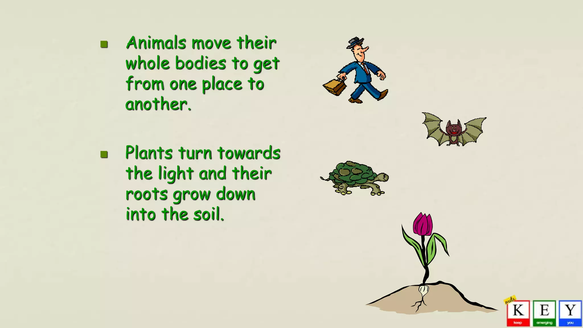  Animals move their
whole bodies to get
from one place to
another.
 Plants turn towards
the light and their
roots grow down
into the soil.
 