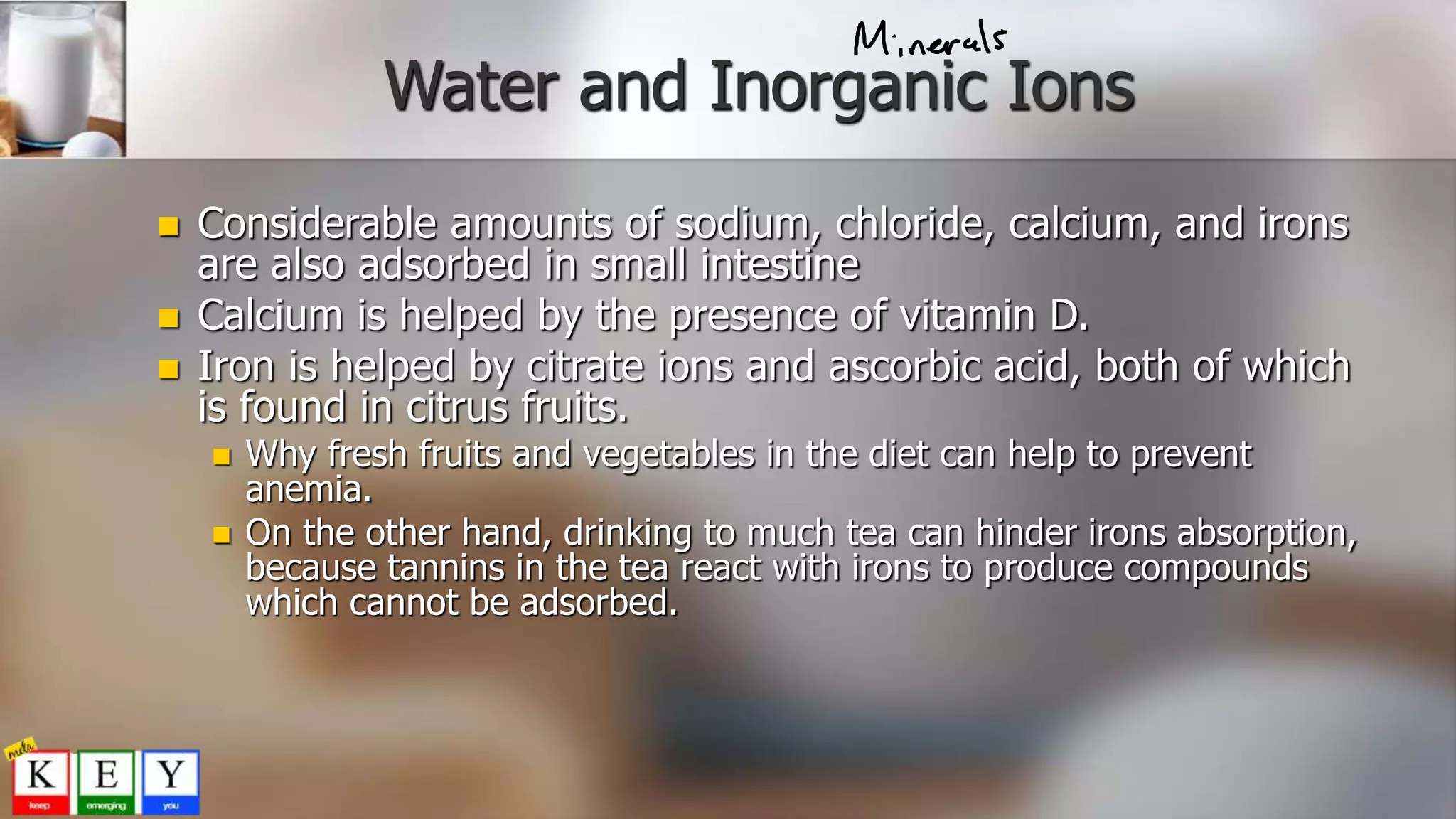 Water and Inorganic Ions
 Considerable amounts of sodium, chloride, calcium, and irons
are also adsorbed in small intestine
 Calcium is helped by the presence of vitamin D.
 Iron is helped by citrate ions and ascorbic acid, both of which
is found in citrus fruits.
 Why fresh fruits and vegetables in the diet can help to prevent
anemia.
 On the other hand, drinking to much tea can hinder irons absorption,
because tannins in the tea react with irons to produce compounds
which cannot be adsorbed.
 