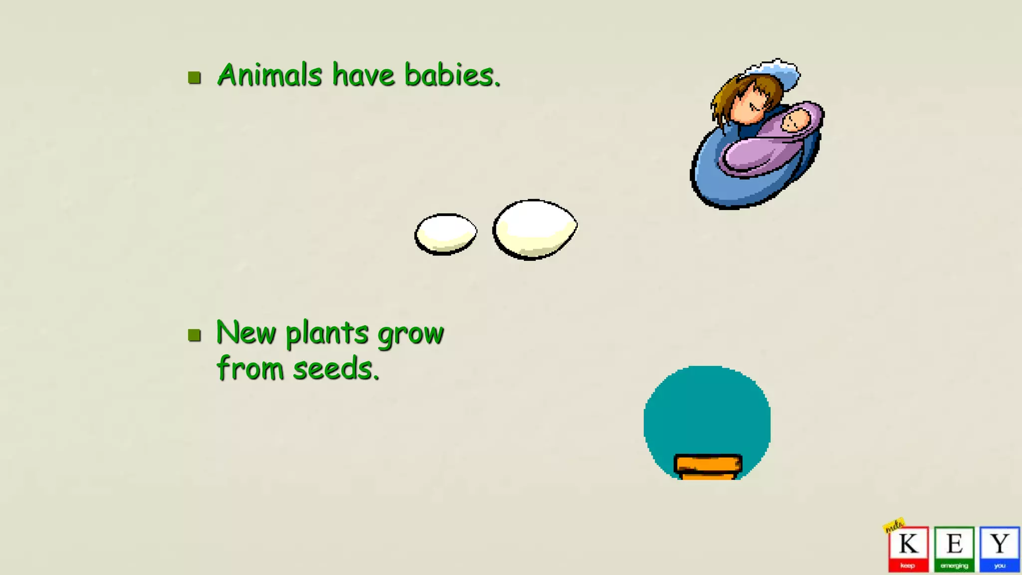  Animals have babies.
 New plants grow
from seeds.
 