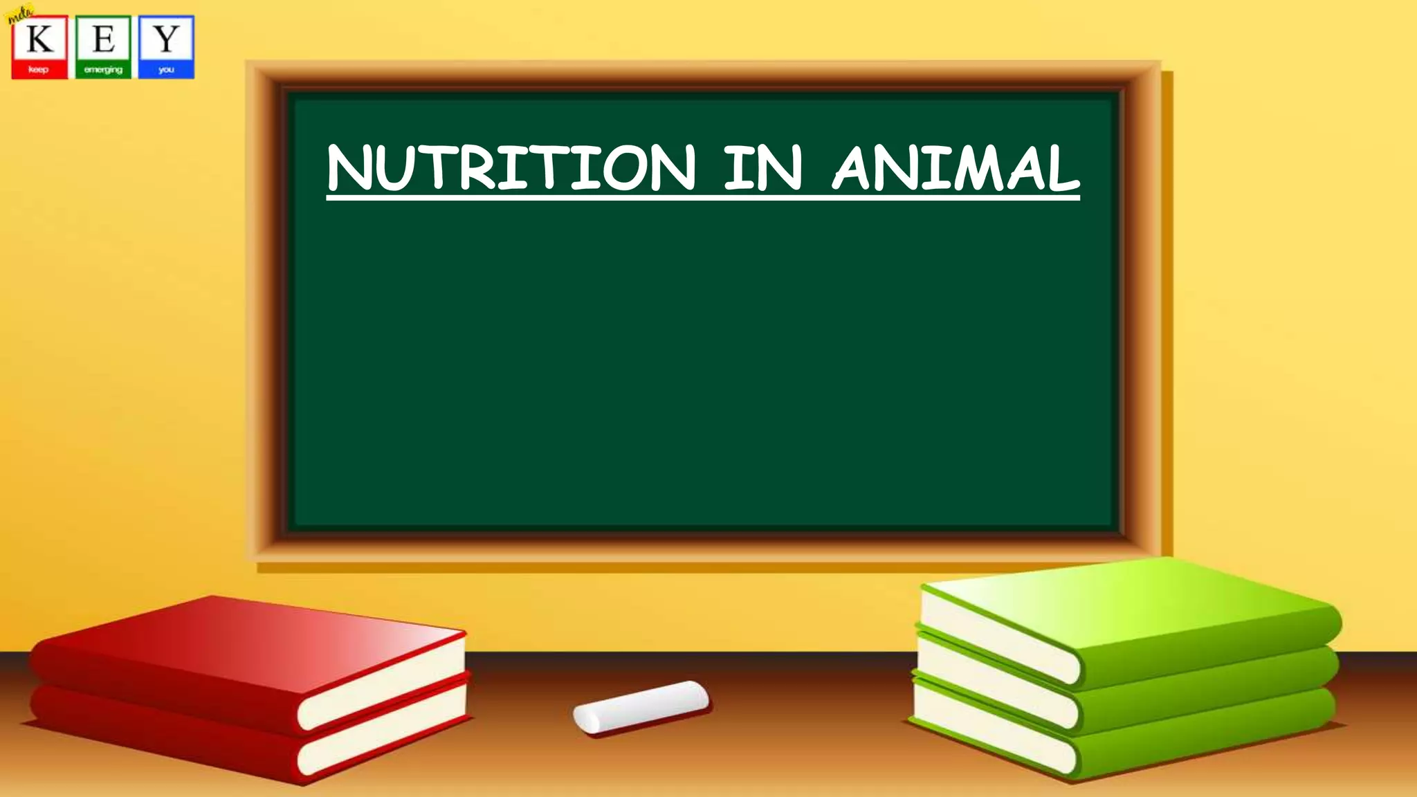 NUTRITION IN ANIMAL
 