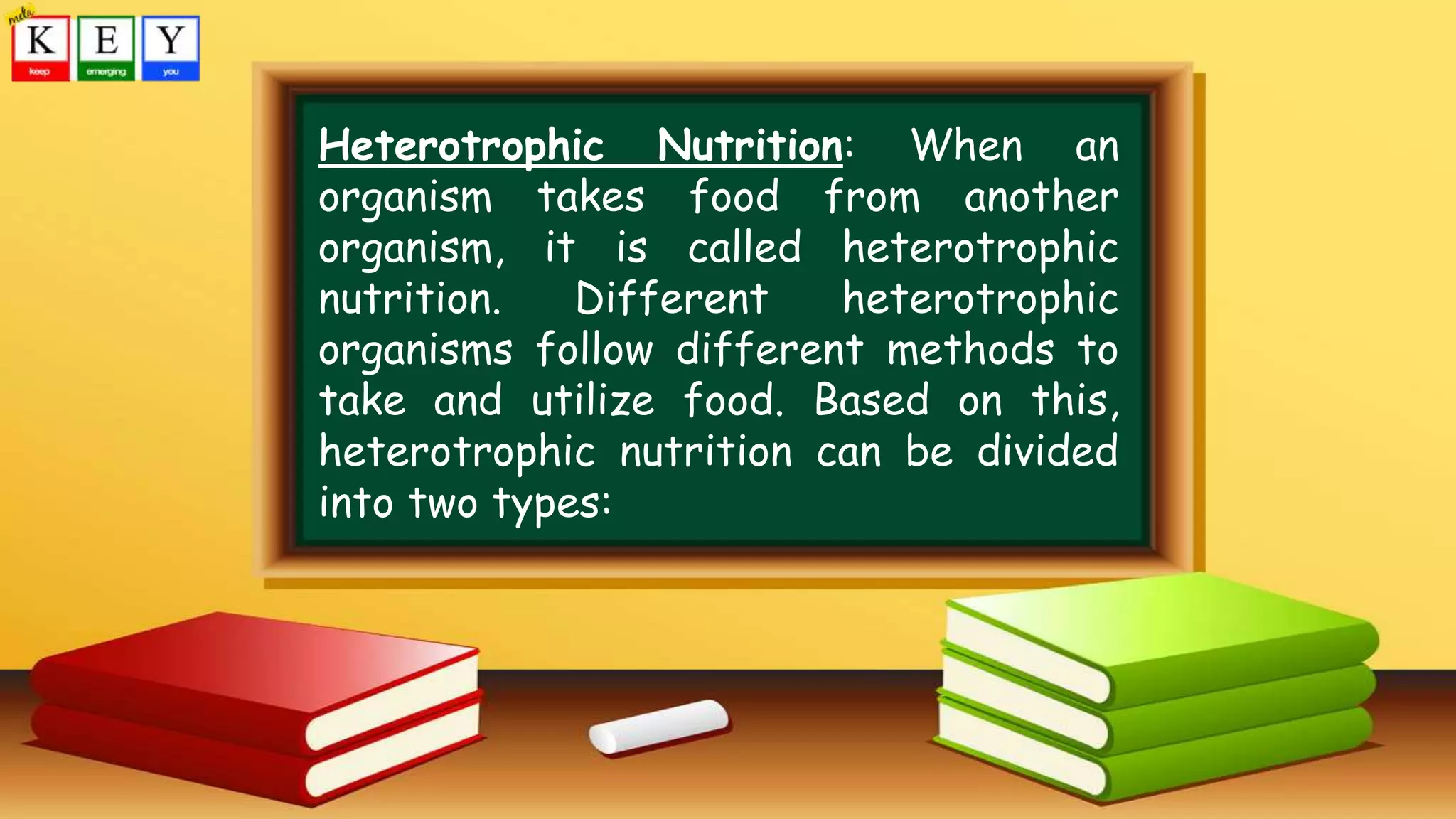 Heterotrophic Nutrition: When an
organism takes food from another
organism, it is called heterotrophic
nutrition. Different heterotrophic
organisms follow different methods to
take and utilize food. Based on this,
heterotrophic nutrition can be divided
into two types:
 