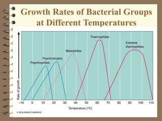 Growth Rates of Bacterial Groups
at Different Temperatures
 