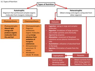 6.1 Types of Nutrition
Types of Nutrition
Autotrophic
Organism that synthesised complex organic
molecules from inorganic molecules
Heterotrophic
Obtain energy and organic compunds from
other organism
Photosynthesis Chemosynthesis
• Photoautotrophs
• Absorb light
energy and
produce organic
molecules from
C0₂ and H₂0
• Chemoautotrophs
• Organism
synthesises
organic molecules
using energy
obtaines from
oxidation of
inorganic
substances
• Nitrosomonas –
ammnium 
nitrate
• Nitrobacter:
nitrate  nitrate
Holozoic
Saprophytic Parasitic
• Ingestion: taking in large and complex
molecules
• Digestion: breakdown of large particles
into smaller particles and chemically
digested by enzymes
• Absorption: movement of dissolved
substance across plasma membrane into
cells
• Assimilation: utilisation of absorbed food
in the body
• Egestion: Elimination of waste from the
body
• Feed on dead
decaying matter
• Mucor & Rhizopus
• Obtain nutrients from
other living organism
• Tapeworm, Fleas, Lice
 