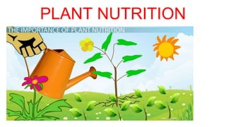 PLANT NUTRITION
 