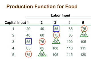 Production Function for Food
1 20 40 55 65 75
2 40 60 75 85 90
3 55 75 90 100 105
4 65 85 100 110 115
5 75 90 105 115 120
Capital Input 1 2 3 4 5
Labor Input
 