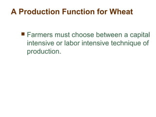 A Production Function for Wheat
 Farmers must choose between a capital
intensive or labor intensive technique of
production.
 