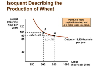 Isoquant Describing the
Production of Wheat
Labor
(hours per year)
Capital
(machine
hour per
year)
250 500 760 1000
40
80
120
100
90
Output = 13,800 bushels
per year
A
B
10-K =∆
260L =∆
Point A is more
capital-intensive, and
B is more labor-intensive.
 