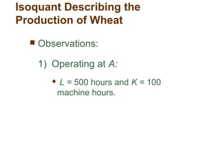  Observations:
1) Operating at A:
 L = 500 hours and K = 100
machine hours.
Isoquant Describing the
Production of Wheat
 