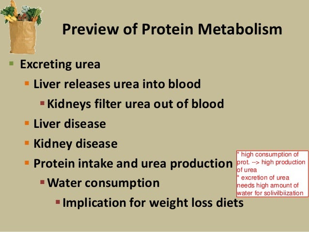 Chapter 6 protein and amino acids