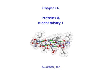 Chapter 6
Proteins &
Biochemistry 1
Dani FADEL, PhD
 