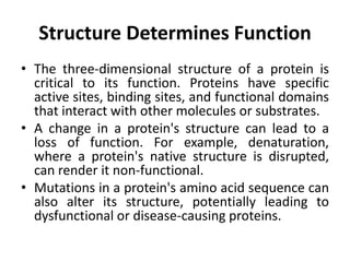 Chapter 6 - Proteins Biochemistry -1- (1) (1).pptx