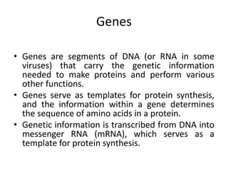 Chapter 6 - Proteins Biochemistry -1- (1) (1).pptx