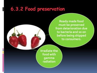 6.3.2 Food preservation
Ready made food
must be preserved
from deterioration due
to bacteria and so on
before being shipped
to consumers.
Irradiate the
food with
gamma
radiation
 