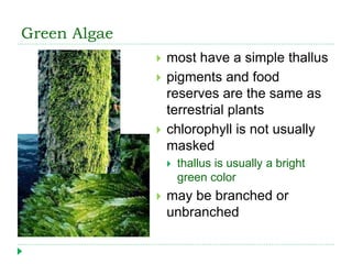 Green Algae
 most have a simple thallus
 pigments and food
reserves are the same as
terrestrial plants
 chlorophyll is not usually
masked
 thallus is usually a bright
green color
 may be branched or
unbranched
 