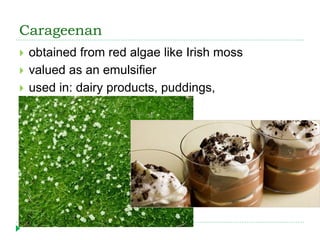 Carageenan
 obtained from red algae like Irish moss
 valued as an emulsifier
 used in: dairy products, puddings,
 