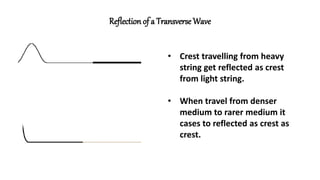 Reflection of a Transverse Wave
• Crest travelling from heavy
string get reflected as crest
from light string.
• When travel from denser
medium to rarer medium it
cases to reflected as crest as
crest.
 