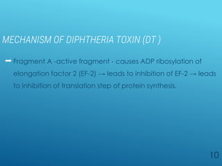 MECHANISM OF DIPHTHERIA TOXIN (DT )
 Fragment A -active fragment - causes ADP ribosylation of
elongation factor 2 (EF-2) → leads to inhibition of EF-2 → leads
to inhibition of translation step of protein synthesis.
10
 