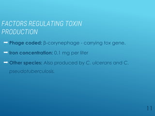 FACTORS REGULATING TOXIN
PRODUCTION
 Phage coded: β-corynephage - carrying tox gene.
 Iron concentration: 0.1 mg per liter
 Other species: Also produced by C. ulcerans and C.
pseudotuberculosis.
11
 