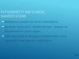 PATHOGENICITY AND CLINICAL
MANIFESTATIONS
 Diphtheria is toxemia but never a bacteremia
 Bacilli are noninvasive - secrete the toxin - spreads via
bloodstream to various organs
 Toxin responsible for all types of manifestations - local
(respiratory) and systemic complications
14
 