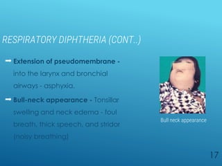 RESPIRATORY DIPHTHERIA (CONT..)
 Extension of pseudomembrane -
into the larynx and bronchial
airways - asphyxia.
 Bull-neck appearance - Tonsillar
swelling and neck edema - foul
breath, thick speech, and stridor
(noisy breathing)
17
A B
Bull neck appearance
 