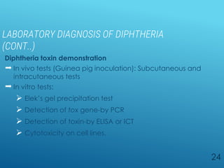 LABORATORY DIAGNOSIS OF DIPHTHERIA
(CONT..)
Diphtheria toxin demonstration
 In vivo tests (Guinea pig inoculation): Subcutaneous and
intracutaneous tests
 In vitro tests:
 Elek’s gel precipitation test
 Detection of tox gene-by PCR
 Detection of toxin-by ELISA or ICT
 Cytotoxicity on cell lines.
24
 
